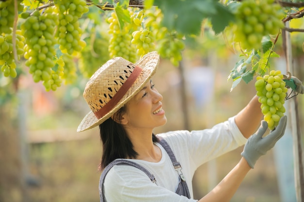 Des formations ont aujourd'hui pour objectif d'attirer les femmes vers le domaine de la viticulture